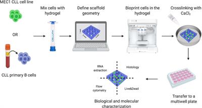 3D Bioprinting Allows the Establishment of Long-Term 3D Culture Model for Chronic Lymphocytic Leukemia Cells